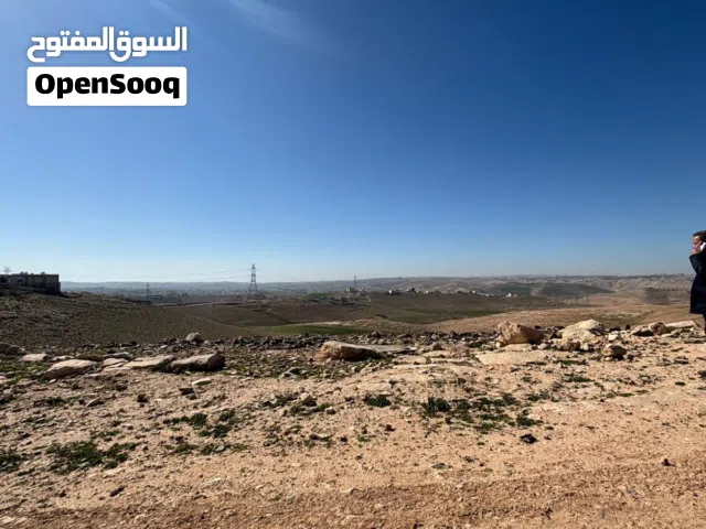 قطعة ارض 500 م قرب مدرسة البيضاء الشمالية — قوشان مستقل ومن المالك