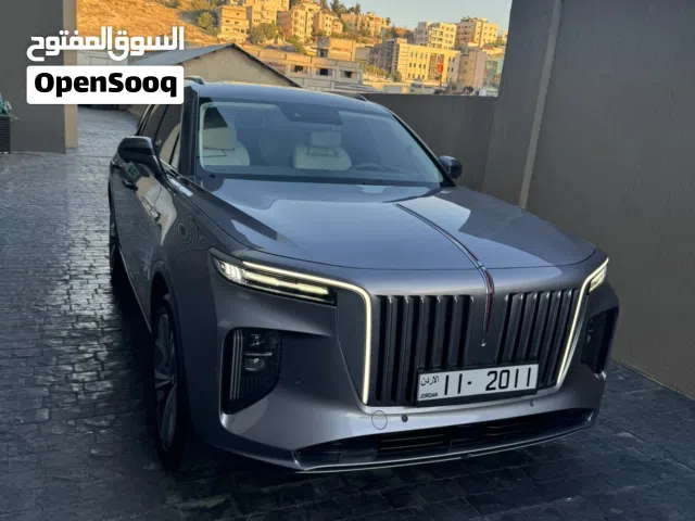 2021 هونج تشي E-HS9