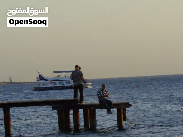محتاج كاميرا اقساط
