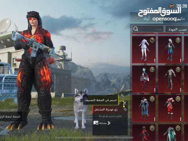 Pubg Accounts and Characters for Sale in Madaba