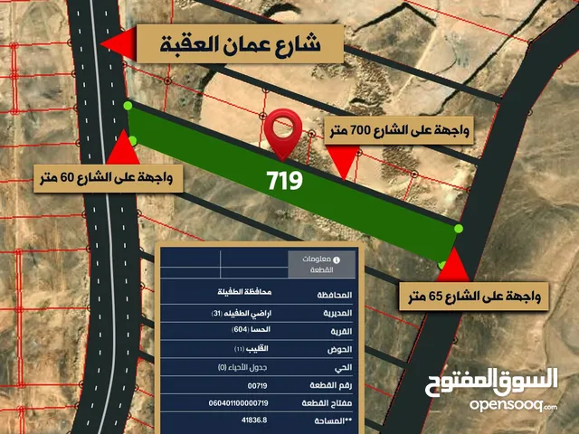 Farm Land for Sale in Tafila Al-Hasa