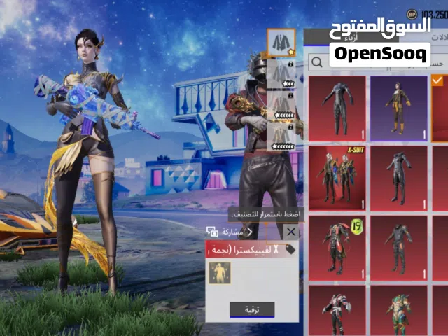 Pubg Accounts and Characters for Sale in Basra