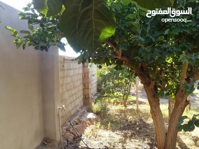Mixed Use Land for Sale in Benghazi Boatni