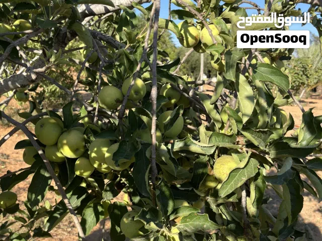 قطعة أرض للبيع في الزطارنة