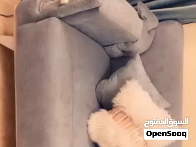 أنتريه مستعمل للبيع استعمال خفيف جدا