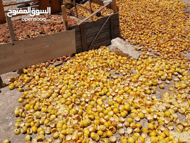 قشر ليمون ناشف للبيع