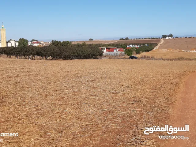 Farm Land for Sale in Casablanca Other