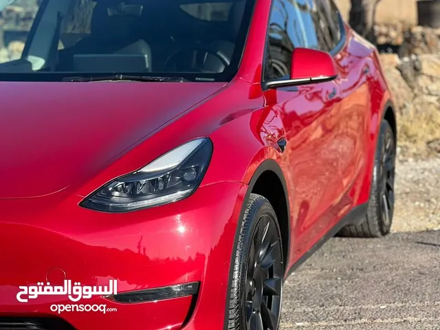 تيسلا y 2023