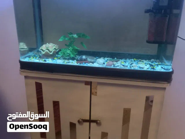 حوض سمك للبيع 600 دينار