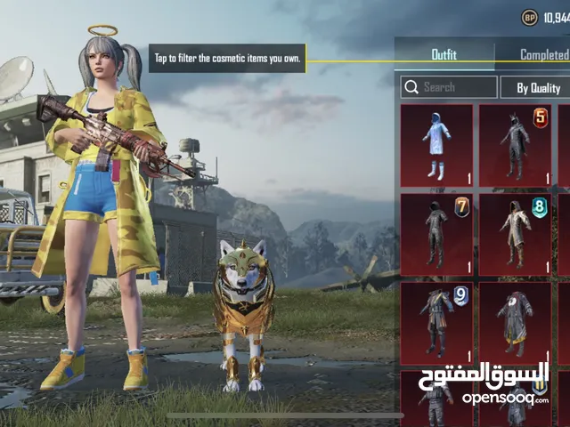 Pubg Accounts and Characters for Sale in Amman