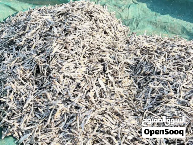 للبيع قاشع نظيف تيبيس طربال الجونيه ابو دله ِ..5ريال التواصل على الخاص الموقع السويق