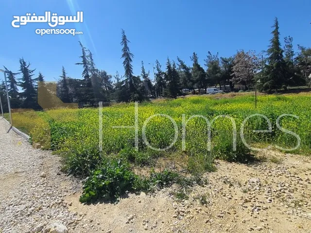 Residential Land for Sale in Amman Dabouq