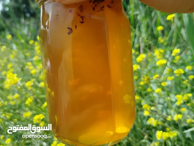 عسل التويجري الطبيعي من مناحل ديالى وإنتاج مكفول