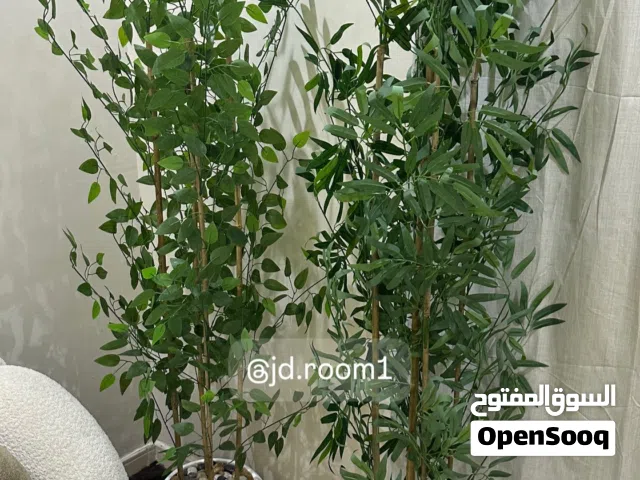زرع صناعي جديد جمله