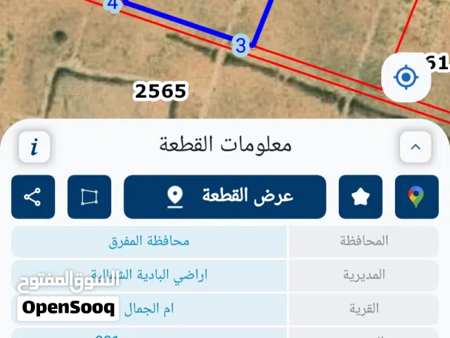 للبيع 40 دونم عشرات في أم الجمال حوض عمرة وعميرة بسعر مغري