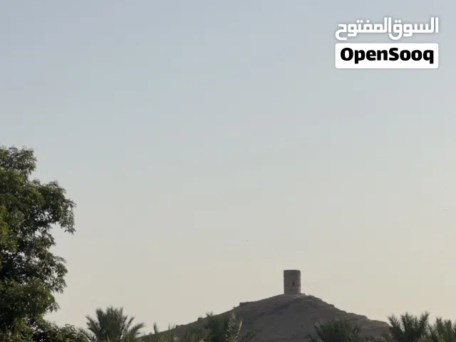 يوجد لدينا صرم (فرض+ جبري+ هلالي+ خلاص ) للبيع
