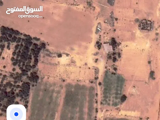 Farm Land for Sale in Sabha Hijarah