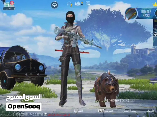 Pubg Accounts and Characters for Sale in Northern Governorate