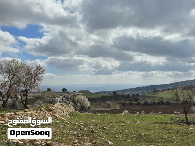 Farm Land for Sale in Jerash Soof