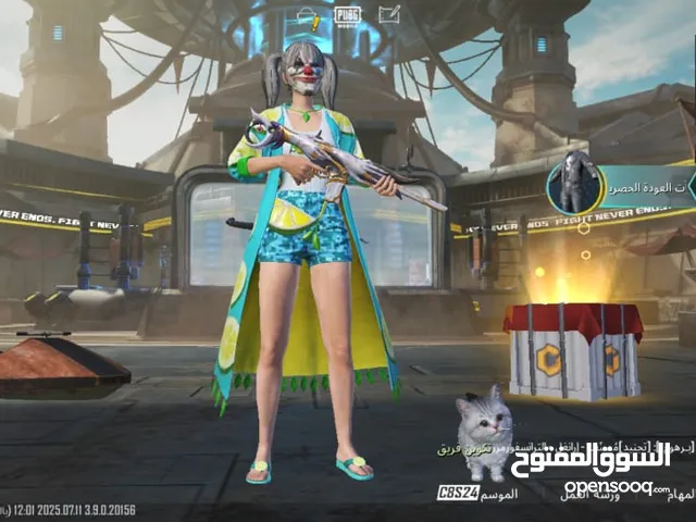 Pubg Accounts and Characters for Sale in Sharjah