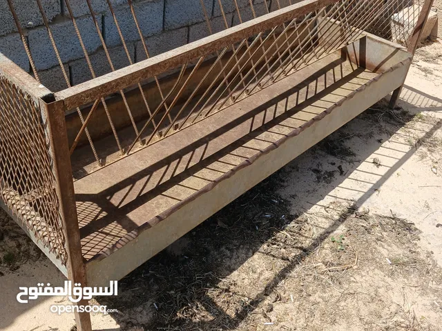 وكاله غنم بحالة جيدة