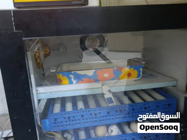 فقاسه للبيع