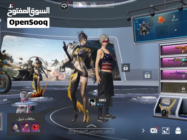 Pubg Accounts and Characters for Sale in Northern Governorate
