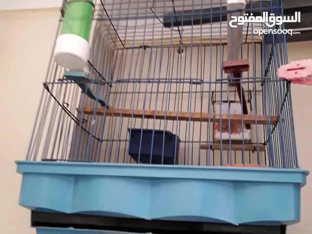 2 قفص عصافير للبيع