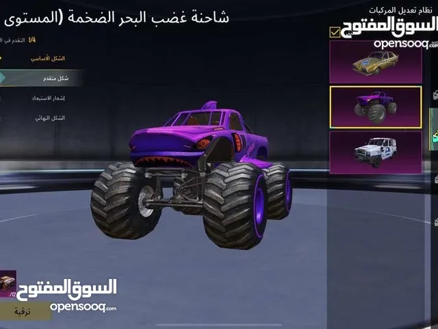 Pubg Accounts and Characters for Sale in Irbid