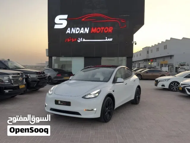 2025 تيسلا موديل Y Long Range