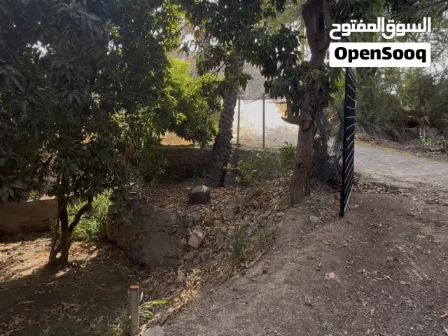 Farm Land for Sale in Buraimi Mahdah