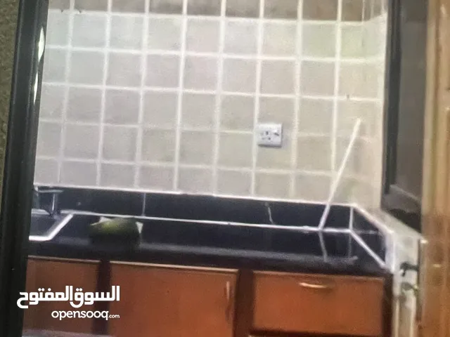 استديو مفروش بالكامل