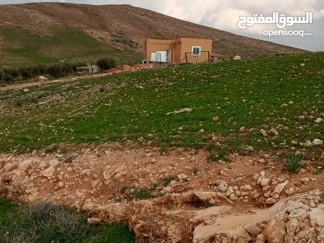 Farm Land for Sale in Madaba lob