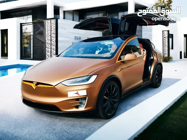 AED 2480 PM  TESLA MODEL X100D 2017  GCC  FIRST OWNER  Full Service History  No Accidents