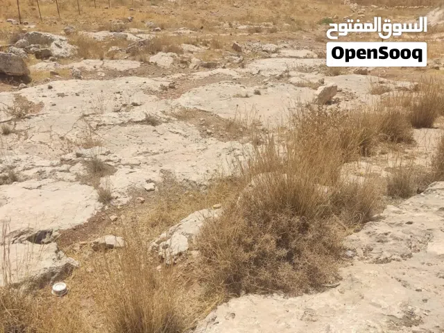 ارض للبيع بسعر لقطة