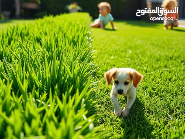 نجيل الصناعي بأقوى العروض والجودة الي تخلي مساحتك تلمع وضمان 8سنين الحق الفرصة !