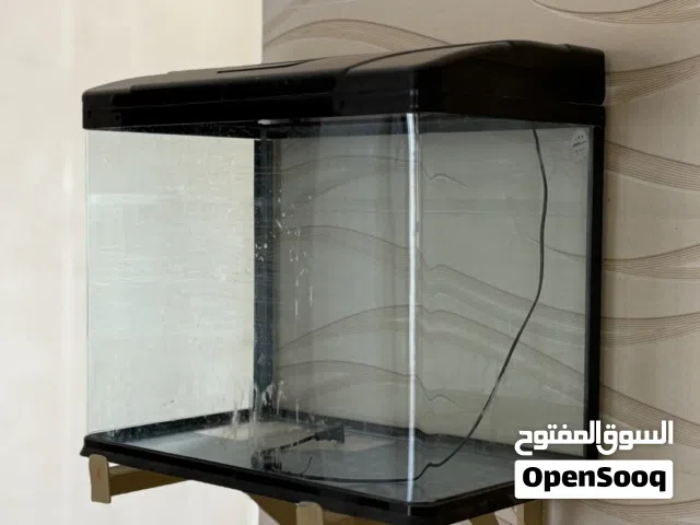 حوض اسماك الزينة