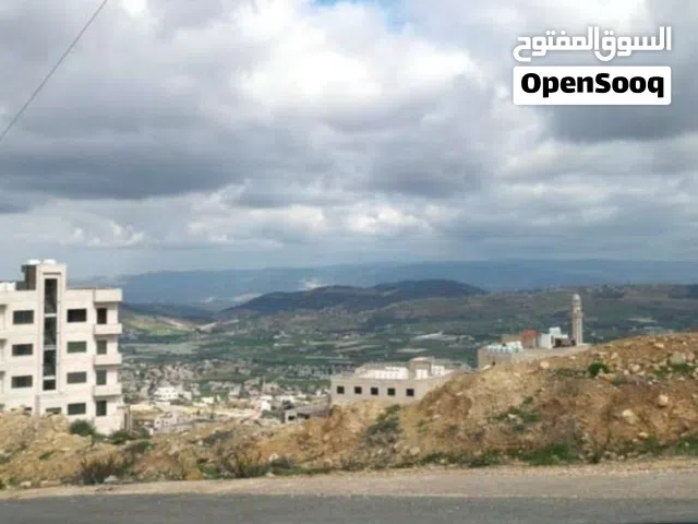 Residential Land for Sale in Amman Abu Nsair