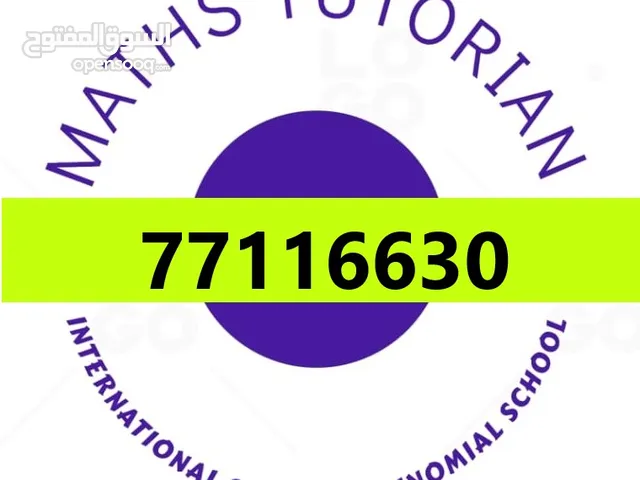 Maths Tutorian for Bilingual and International Schools - secondary level, accounting and statistic