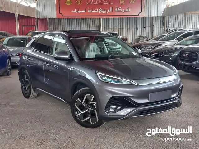 BYD_YUAN_PLUS__2023 ممشى قليل فحص اتو سكور 94