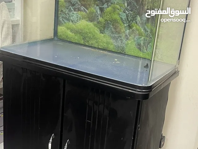 حوض سمك fish tank