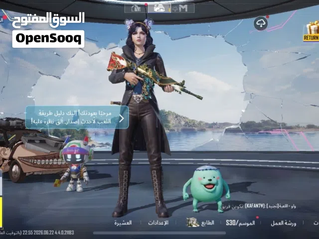 Pubg Accounts and Characters for Sale in Farwaniya