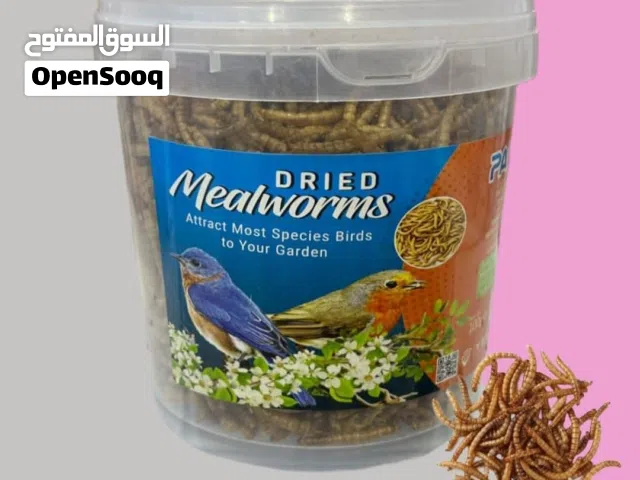 انسكتن فيرما Insecten firma