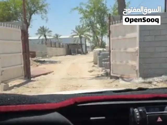 بستان 2 دونم ونص للبيع في ابي الخصيب مهيجران