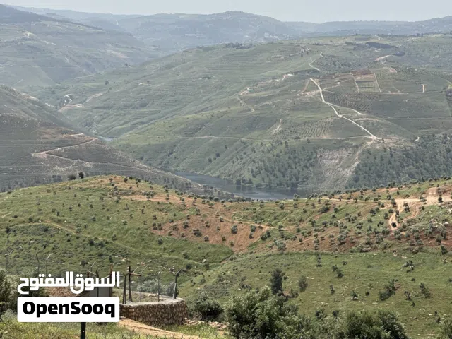 Farm Land for Sale in Jerash Al-Majdal