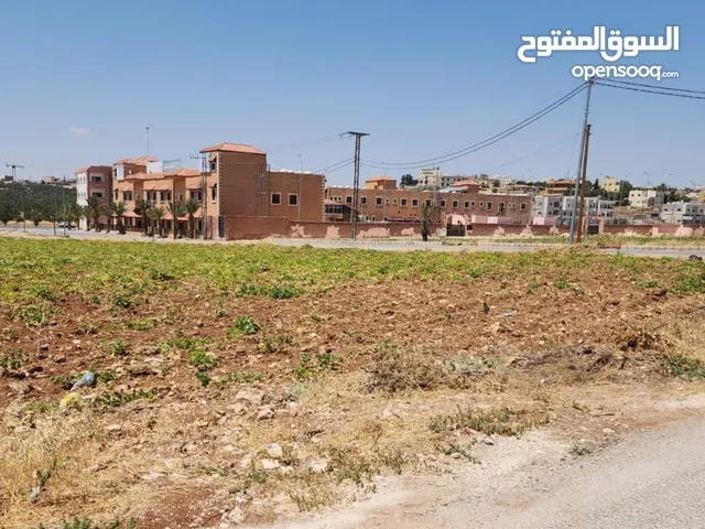 Residential Land for Sale in Amman Husban
