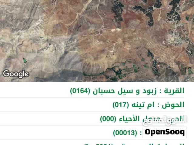 أرض للبيع 5500 متر ناعور زبود و سيل حسبان قوشان مستقل