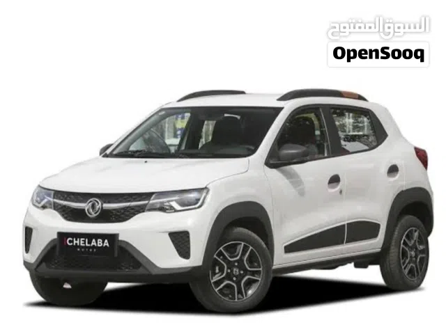 2022, Dongfeng, EX1