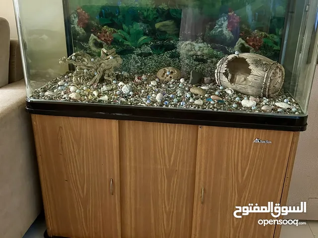 Aquarium for sale