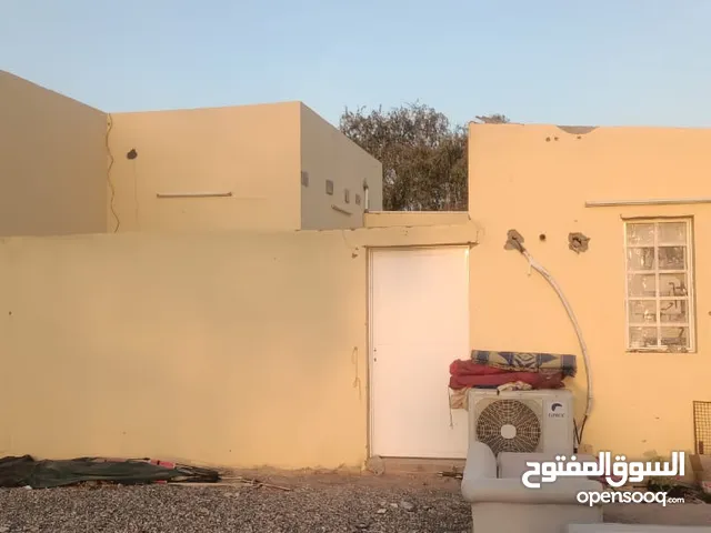 chicken - poultry farm